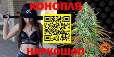 прущие грибы Тулун