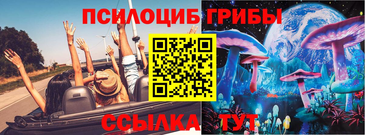 Псилоцибиновые грибы Psilocybe  Вход с VPN  Орёл 